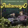 Paltamayo - La Guarifaifa del Wifi - Single