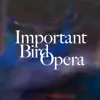 Ryan Moritz - Important Bird Opera