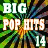 Lance James Band - Big Pop Hits, Vol. 14