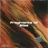 Trbl - Fragments of Bliss - Single