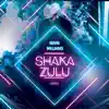 Kevin Williams - Shaka Zulu - Single