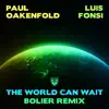 Paul Oakenfold, Luis Fonsi & Bolier - The World Can Wait (Bolier Remix) - Single