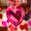 Torfi Olafsson - Fated to Love - Single