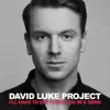 David Luke Project - I'll Have to Say I Love You in a Song - Single