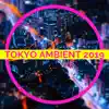 Drone Master - Tokyo Ambient 2019 - The Union of Different Colours