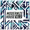 Various Artists - Modernize House, Vol. 52