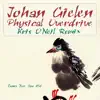 Johan Gielen - Physical Overdrive - Single