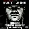 Fat Joe - (Ha Ha) Slow Down [feat. Young Jeezy] - Single