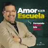 Fernando Cancel - Amor En La Escuela - Single