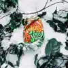 DJ Mykael V & Ty Brasel - Mango Juice - Single