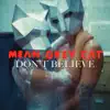 Mean Grey Cat - Don't Believe - Single