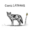 OkayHozay - Canis Latrans