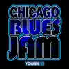 Chicago Blues Jam - Volume 11 (Live)