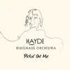 Hayde Bluegrass Orchestra - Pickin' on Me - Single