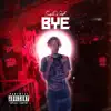 Swiishdagoat - Bye - Single