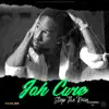 Jah Cure - Stop the Rain - Single