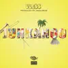 VLESS - Junkanoo - Single