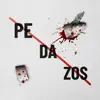 Pez Errante - Pedazos - Single