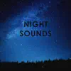 Relaxing White Noise Sounds - Night Sounds: 1 Hour of Peaceful Relaxation to Sleep