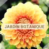 Jardin japonais - Jardin Botanique - Zen musique de la nature pour se détendre à la campagne