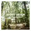 Nadine Khouri - Spirit Ditch (feat. Adrian Crowley) - Single