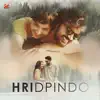 Ranajoy Bhattacharjee - Hridpindo (Original Motion Picture Soundtrack) [Original] - EP