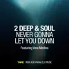 2 Deep & Soul - Never Gonna Let You Down (Remixes) - EP