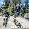 The Bikeaholix - Bend BMX - Single