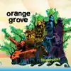 Orange Grove - Fingerprint