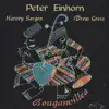 Peter Einhorn - Bouganvillea (feat. Harvey Sorgen & Drew Gress)