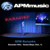 APM Karaoke - Karaoke Hits - Roma Boys, Vol. 1