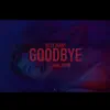 Jelly Beans - Goodbye (by Music Pink Elephant) [feat. Irene] - Single