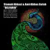 Siamak Abbasi - Delfarib (feat. Amirabbas Golab) - Single