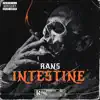 RANS - Intestine - Single