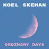 Noel Skehan - Ordinary Days