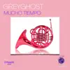 GreyGhost - Mucho Tiempo - Single