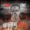 Fazo - Different Artist