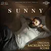 Sankar Sharma - Sunny (Original Background Score)