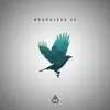 Ambyion - Boundless - Single