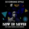 Dj Chronic Style - Now or Never (feat. Karin Kedem & Jaiva Zimnike) - Single