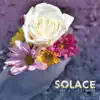 A Day Without Love - Solace