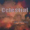 Bjorn Fredrickson - Celestial