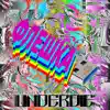 underdie - Флешка! - Single