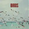 Funky Fella - Birds - Single