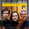 Suys Trio, Jeroen Suys, Diederik Suys & Frauke Suys - Bach: Trio Sonatas, BWV 525-527