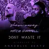 Shawn Mocey & Anabolic Beatz - Don't Waste It (feat. Mitch Darrell) - Single