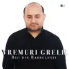 Biji Din Barbulesti - Vremuri Grele - Single