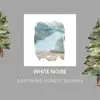 White Noise Spa, Peaceful Nature Music & Echoes Of Nature - Soothing Forest Sounds with White Noise, Loopable