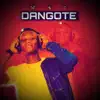 W4C - Dangote - Single