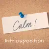 Inspector Grooves - Calm Introspection - Single